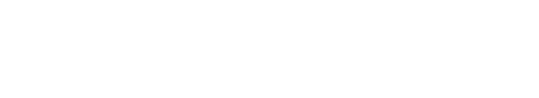 ANKER & ZIMMER Logo